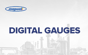 Banner Digital Gauge